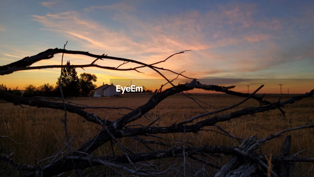 sunset, evening, sky, nature, sunlight, dusk, landscape, cloud, reflection, environment, scenics - nature, land, beauty in nature, tree, no people, plant, tranquility, branch, fence, horizon, tranquil scene, rural scene, outdoors, sun, wire, water, barbed wire, non-urban scene, silhouette, orange color, dramatic sky, architecture, field, rural area