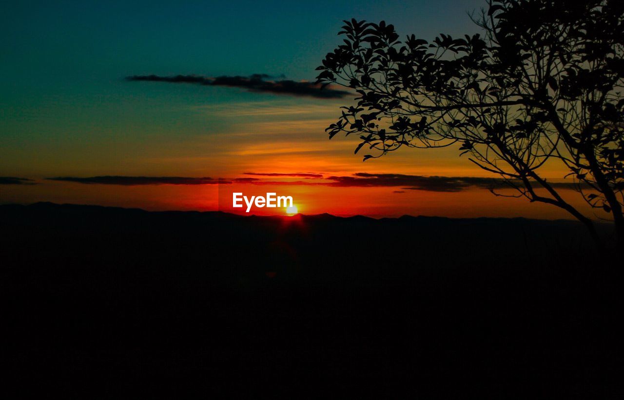 SILHOUETTE TREE AGAINST SKY DURING SUNSET