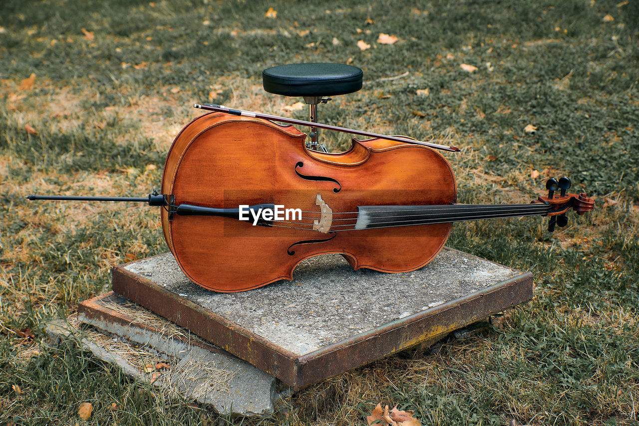 musical instrument, music, string instrument, bowed string instrument, violin, musical equipment, cello, arts culture and entertainment, viola, grass, fiddle, day, string, musical instrument string, nature, wood, plant, no people, land, high angle view, field, classical music, bow - musical equipment