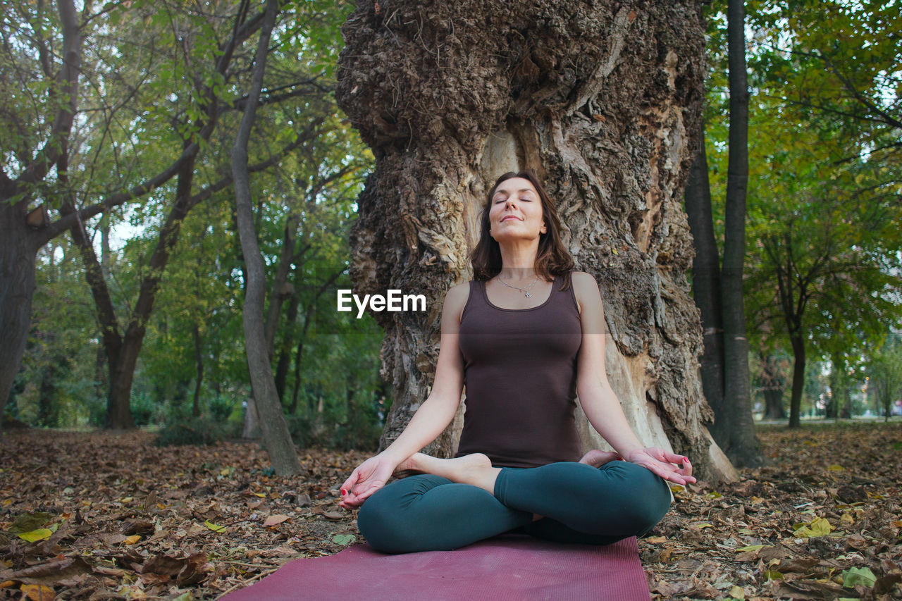 Full length of woman sitting by tree in forest