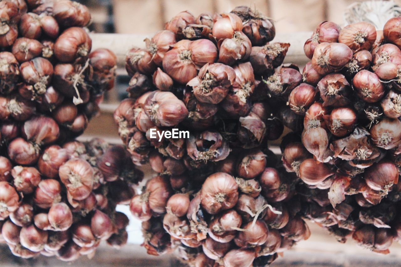 Low angle view of onions hanging at market