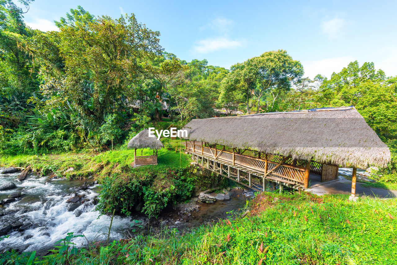 Thatched roof footbridge over river in forest