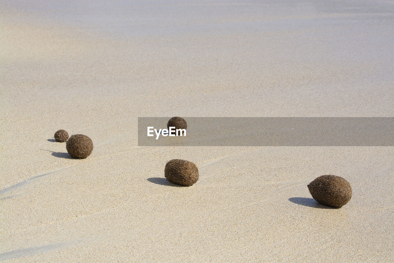 HIGH ANGLE VIEW OF BALLS ON SAND