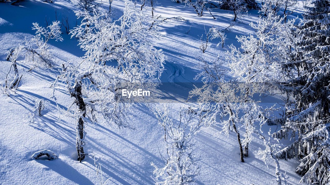 Snow covered land and trees against blue sky