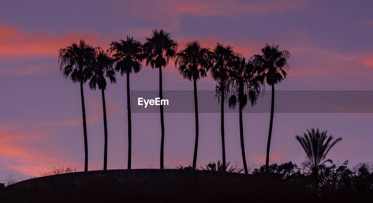 Silhouette palm trees against romantic sky at sunset