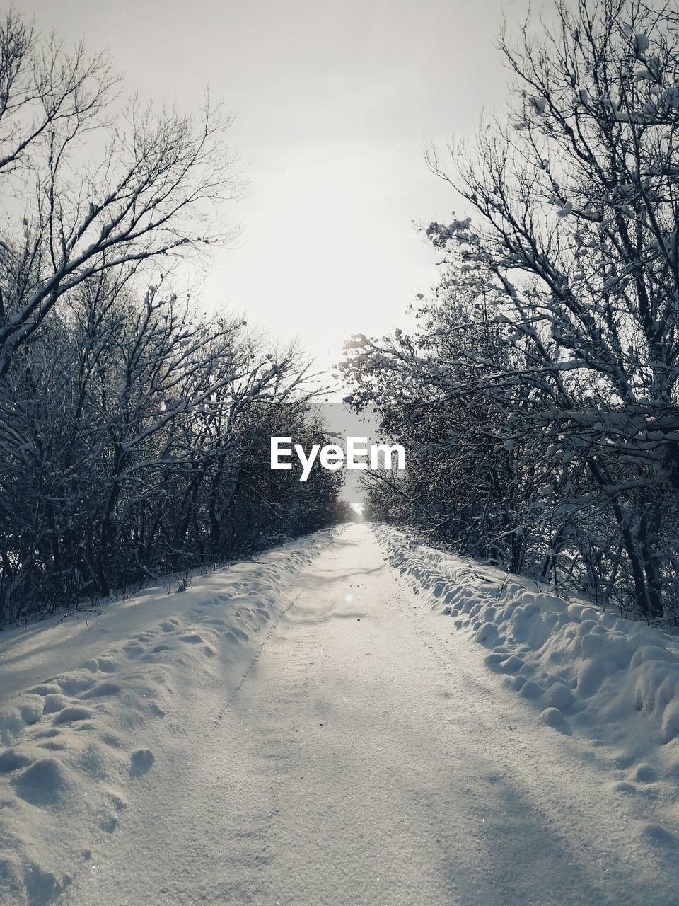 ROAD AMIDST BARE TREES DURING WINTER