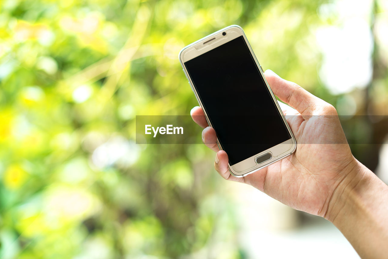 Cropped hand of person holding mobile phone against trees