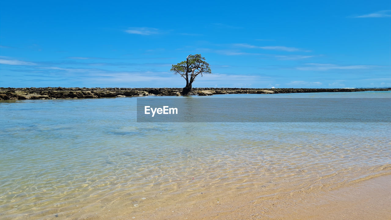 water, shore, sky, land, sea, tree, scenics - nature, coast, nature, beauty in nature, horizon, body of water, beach, ocean, tranquility, sand, tranquil scene, blue, plant, environment, no people, cloud, landscape, day, travel destinations, bay, outdoors, idyllic, palm tree, non-urban scene, wave, travel, reflection, tropical climate, tourism, island, vacation, holiday, trip