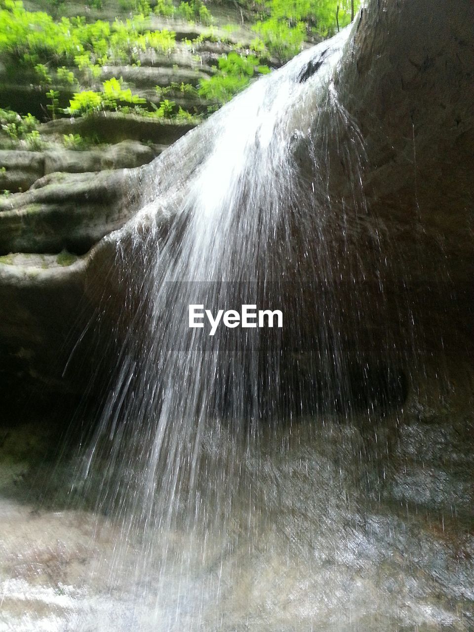 WATERFALL IN THE FOREST