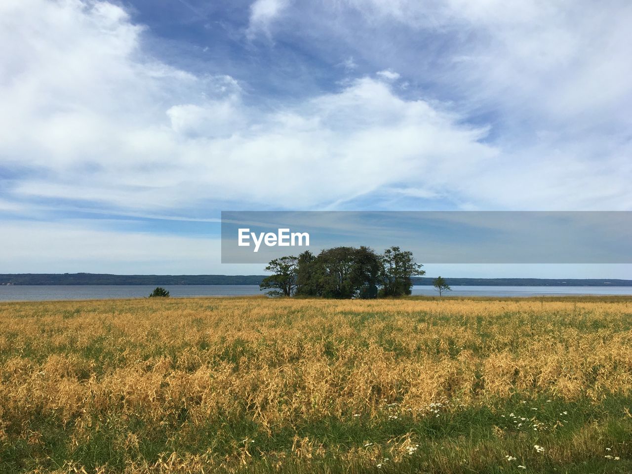 SCENIC VIEW OF LAND AGAINST SKY