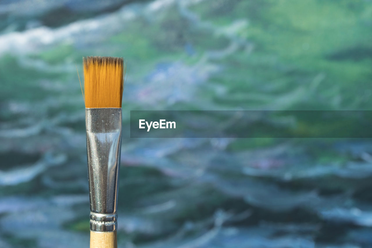Close-up of paintbrush against sea