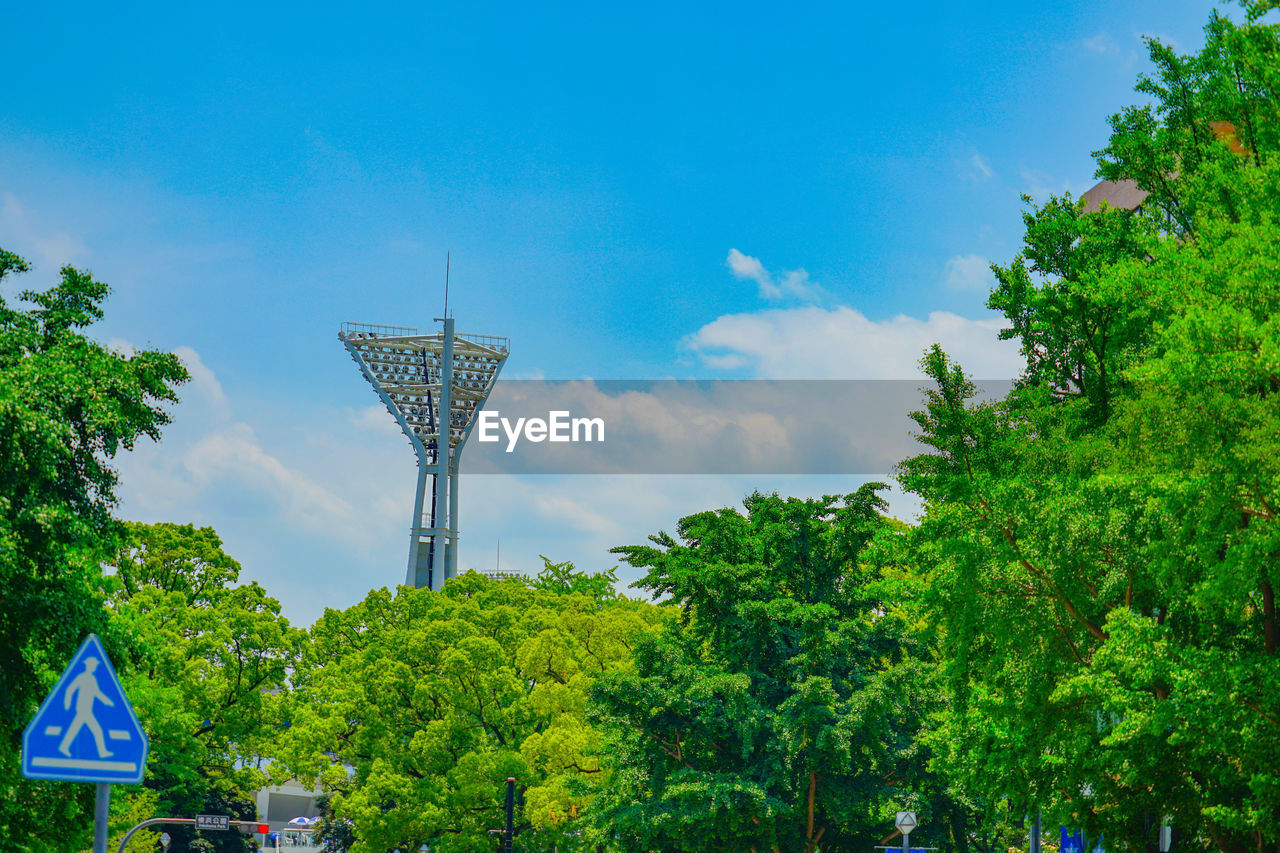 tree, plant, sky, nature, architecture, green, park, landmark, city, built structure, blue, travel, no people, day, outdoors, cloud, transportation, travel destinations, communication, street, tower, tourism, environment, road