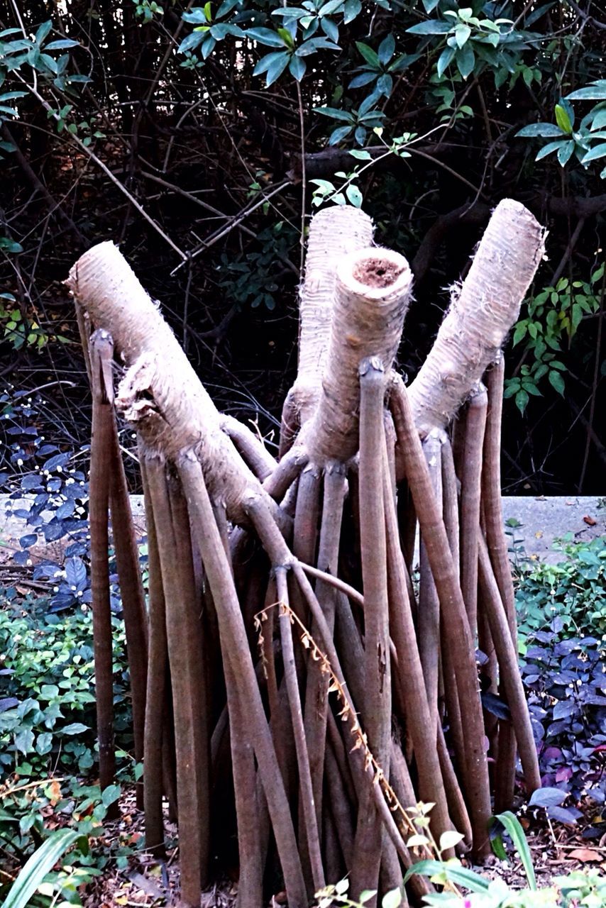 CLOSE-UP OF RUSTY METALLIC STRUCTURE