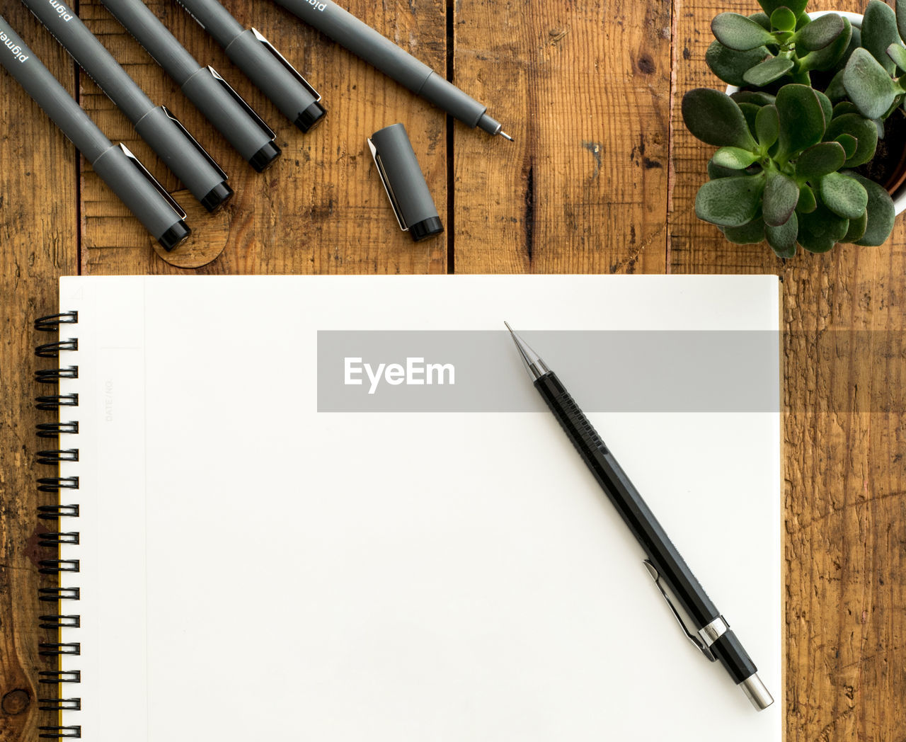 High angle view of pen and diary by succulent plant on table