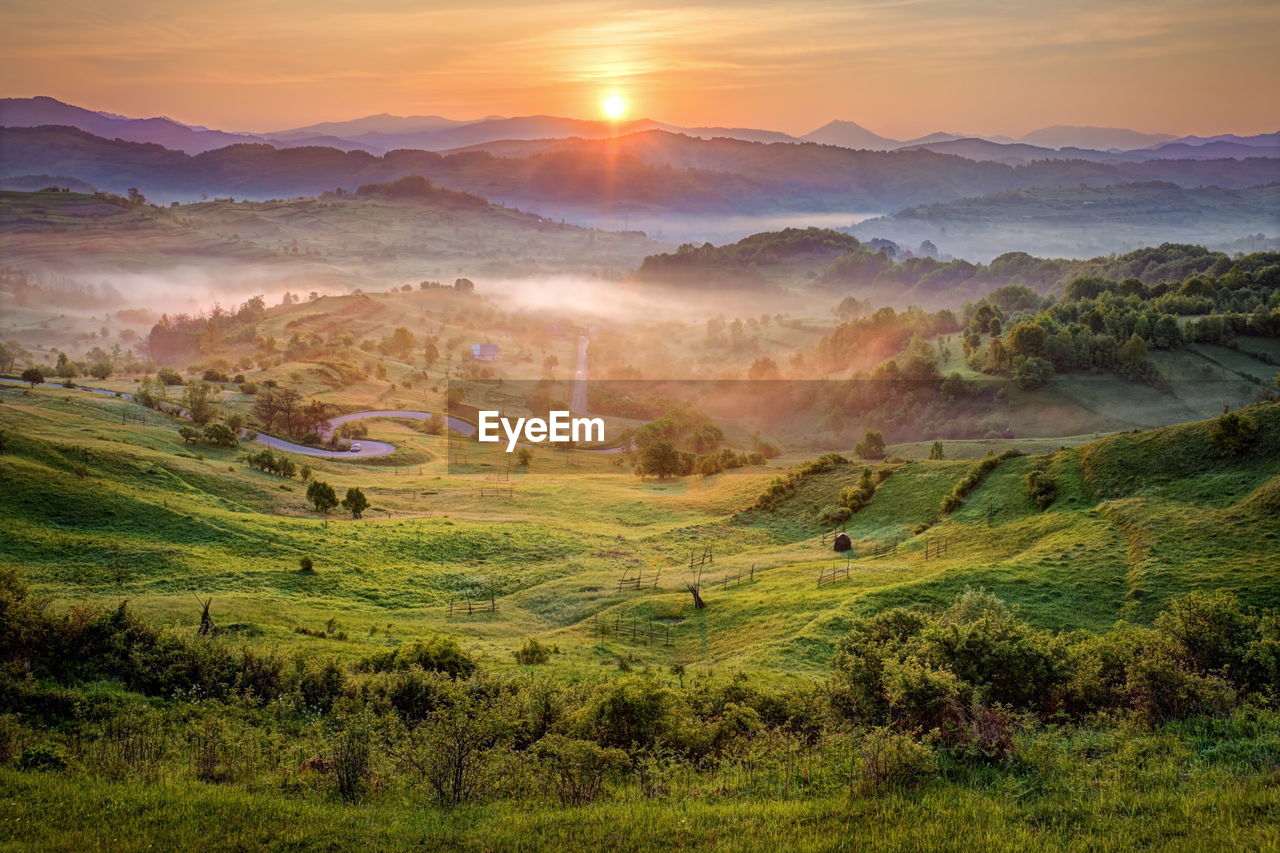 Scenic view of green landscape during sunset