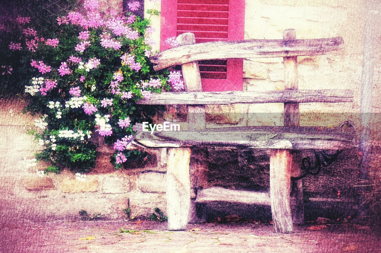 PLANTS GROWING ON BRICK WALL