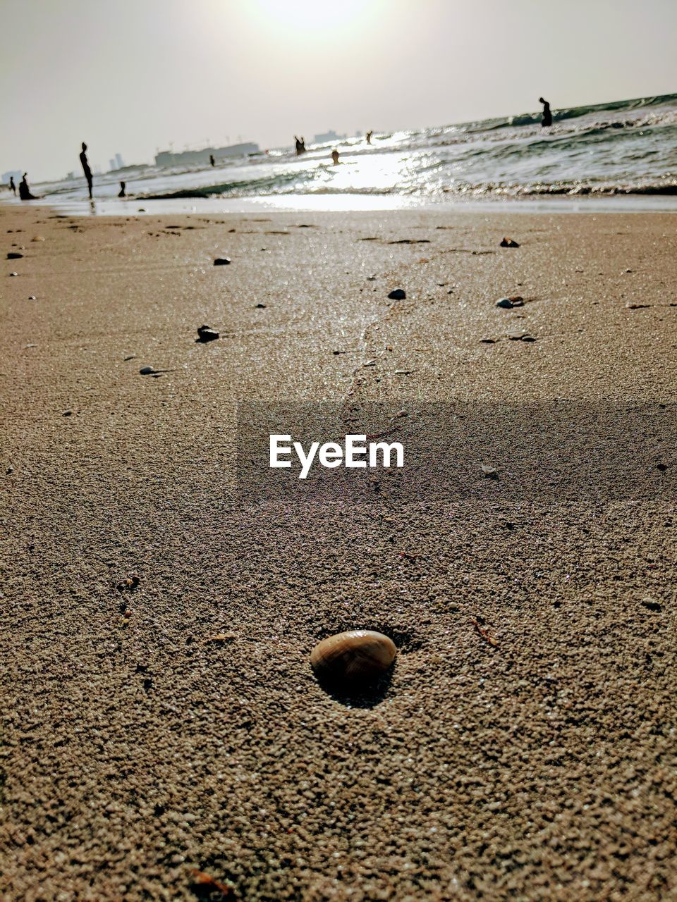 View of beach on sunny day