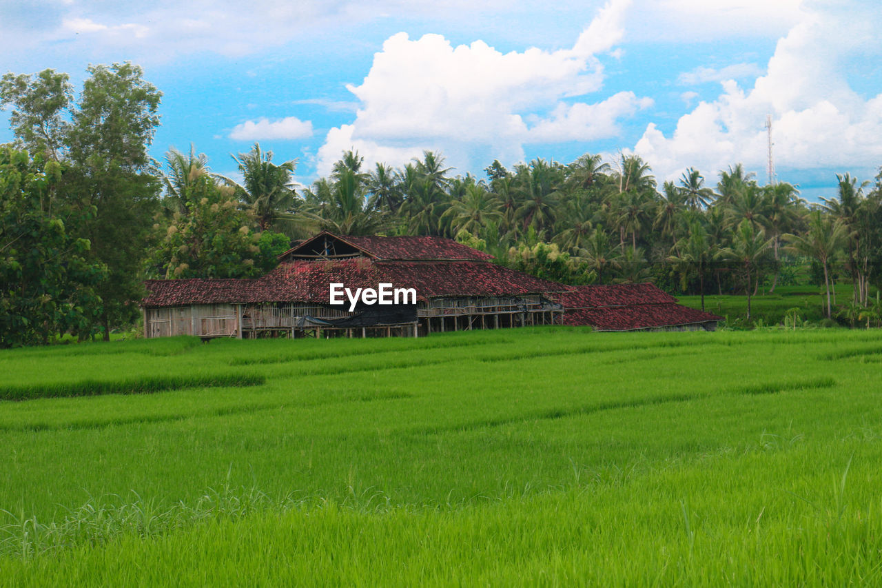 HOUSE ON GRASSY FIELD AGAINST SKY