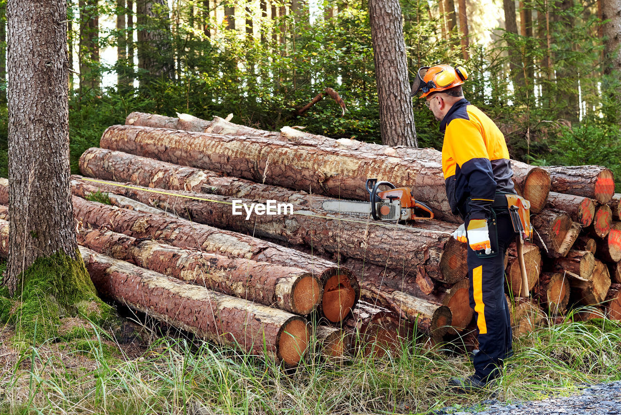 Professional lumberjack with protective workwear and chainsaw working in a forest