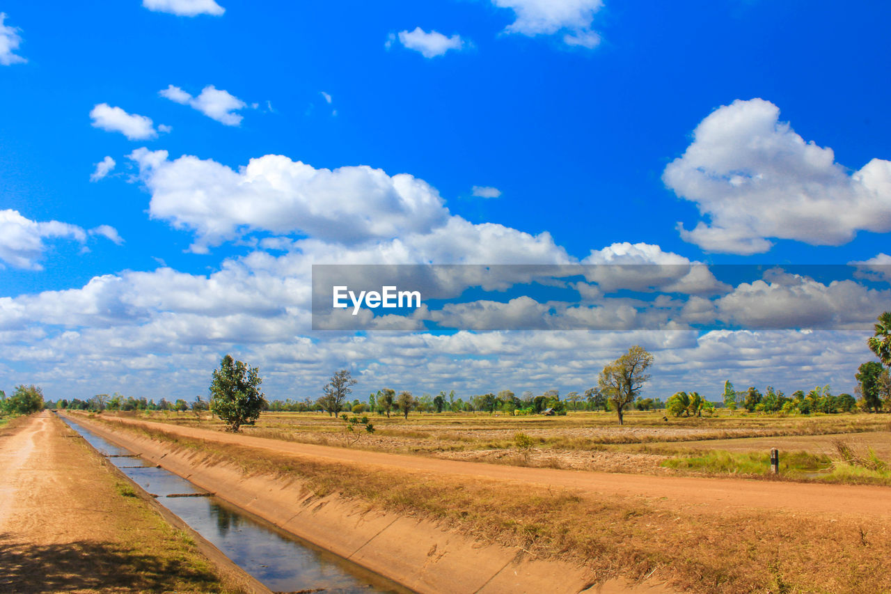 SCENIC VIEW OF DIRT ROAD AMIDST TREES AGAINST SKY