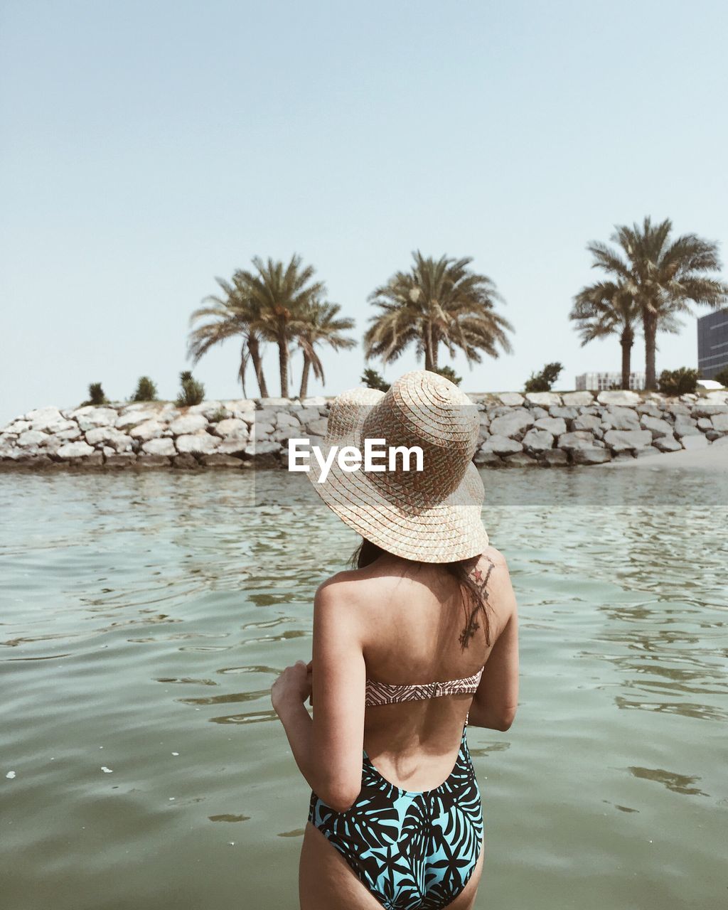 Rear view of woman by sea against clear sky