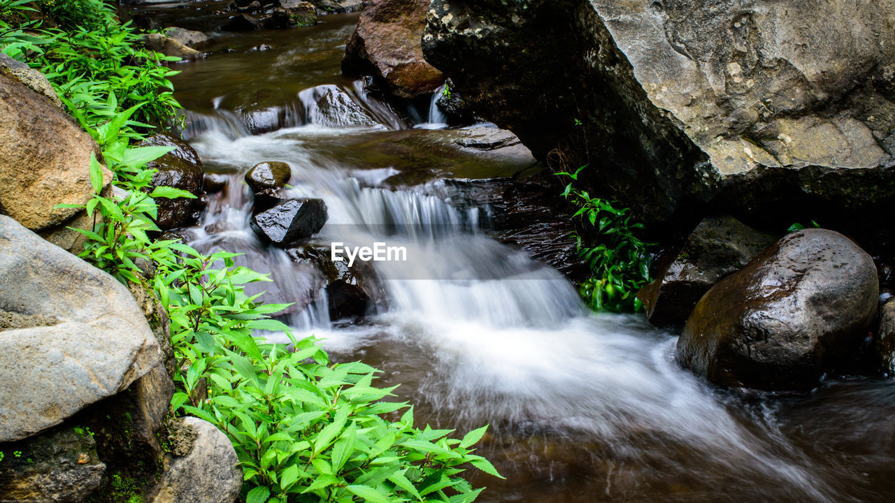 STREAM FLOWING THROUGH ROCKS IN FOREST