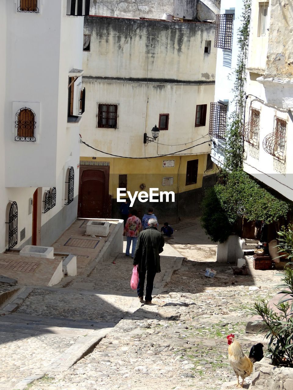 Rear view of people walking in city