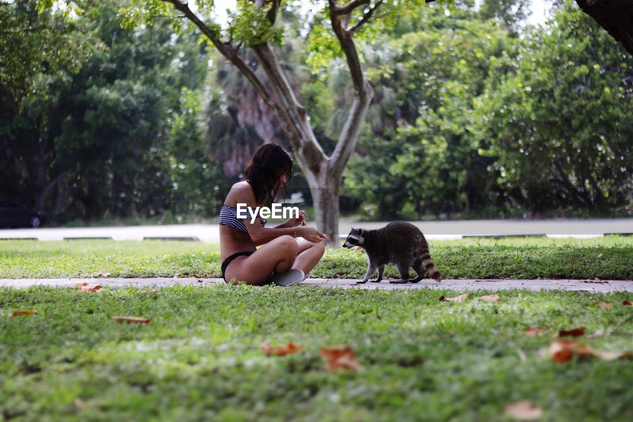 MAN AND WOMAN IN PARK AGAINST TREES IN GRASS