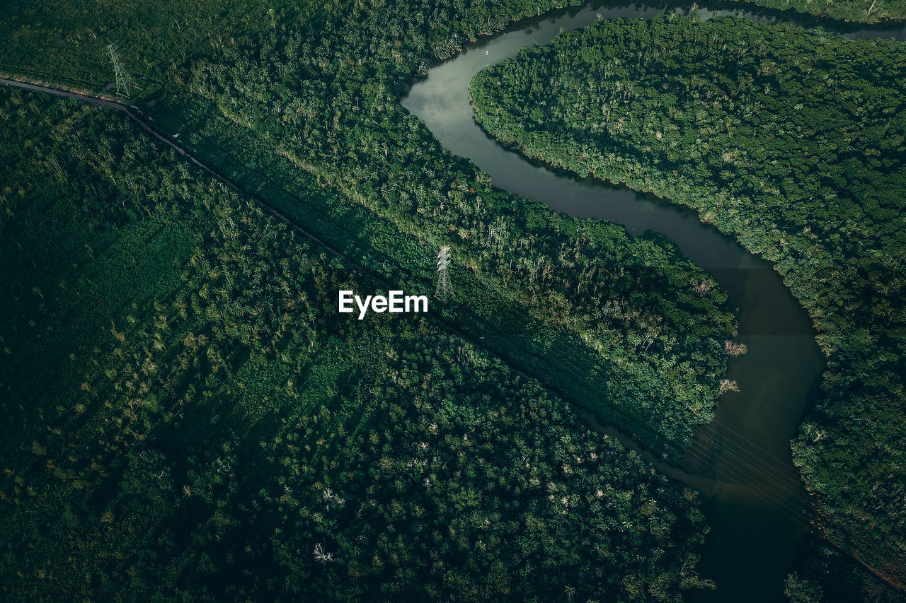 High angle view of agricultural field