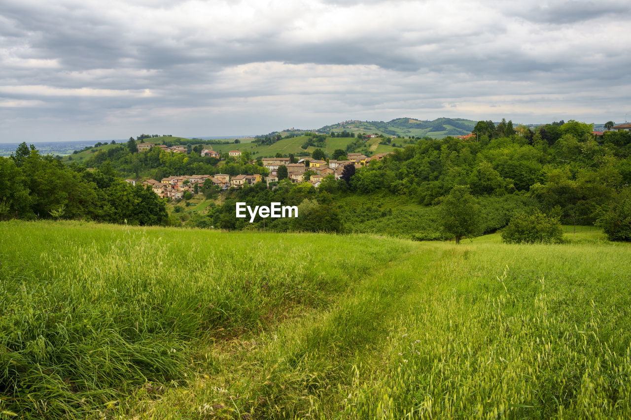 SCENIC VIEW OF LANDSCAPE