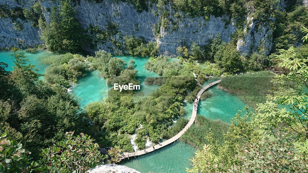 High angle view of river amidst trees in forest