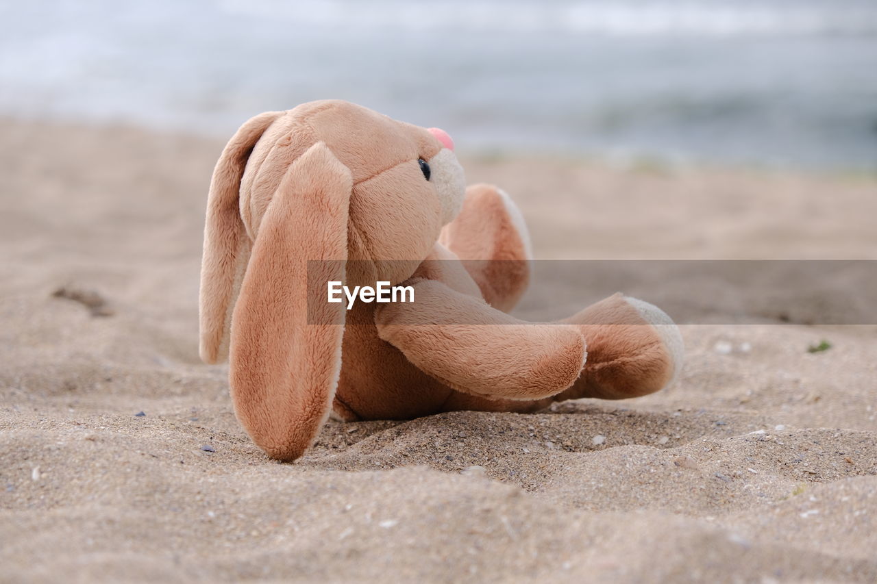 sand, beach, land, sea, nature, water, close-up, no people, day, toy, focus on foreground, selective focus, outdoors, limb, tranquility