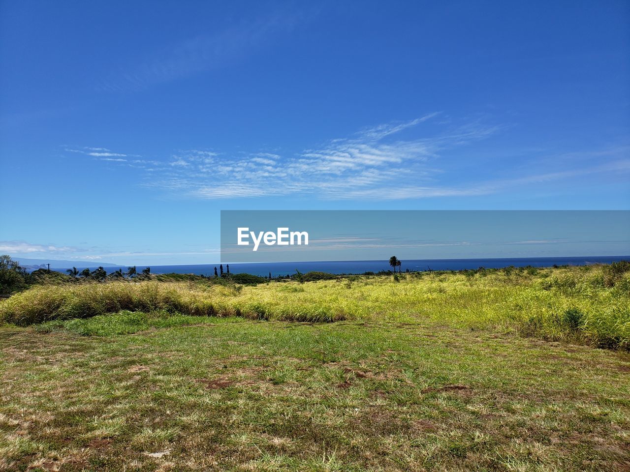 Scenic view of field against blue sky