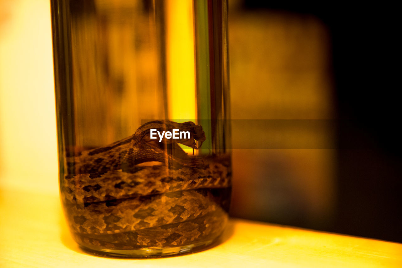 Close-up of snake wine bottle on table in bar