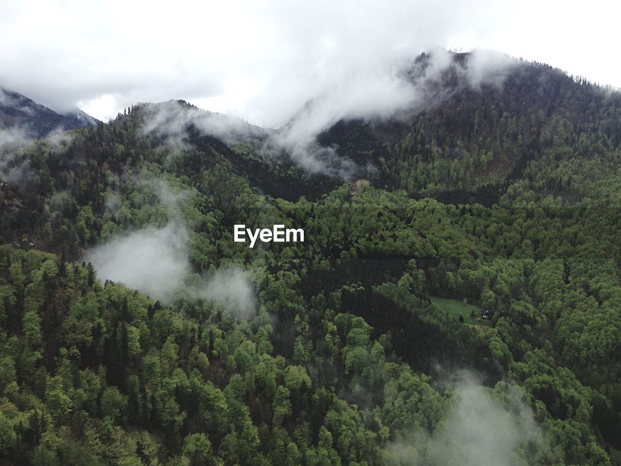 High angle view of trees against mountains during foggy weather