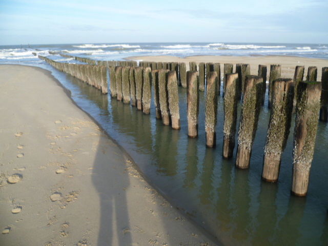 WOODEN POSTS IN SEA