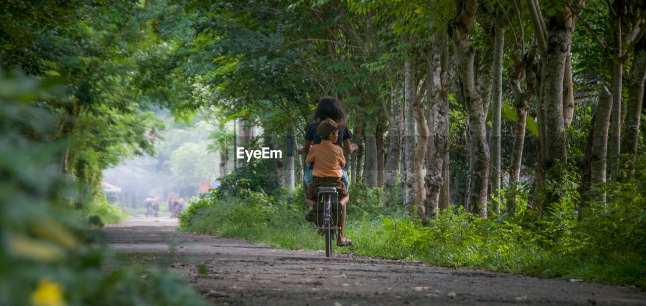 Rear view of woman cycling on country road