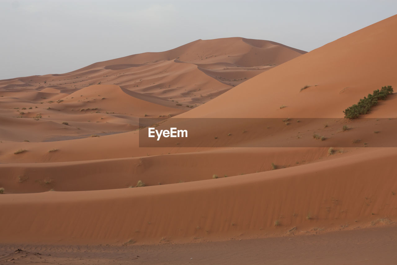 Low angle view of sand dunes in desert against clear sky