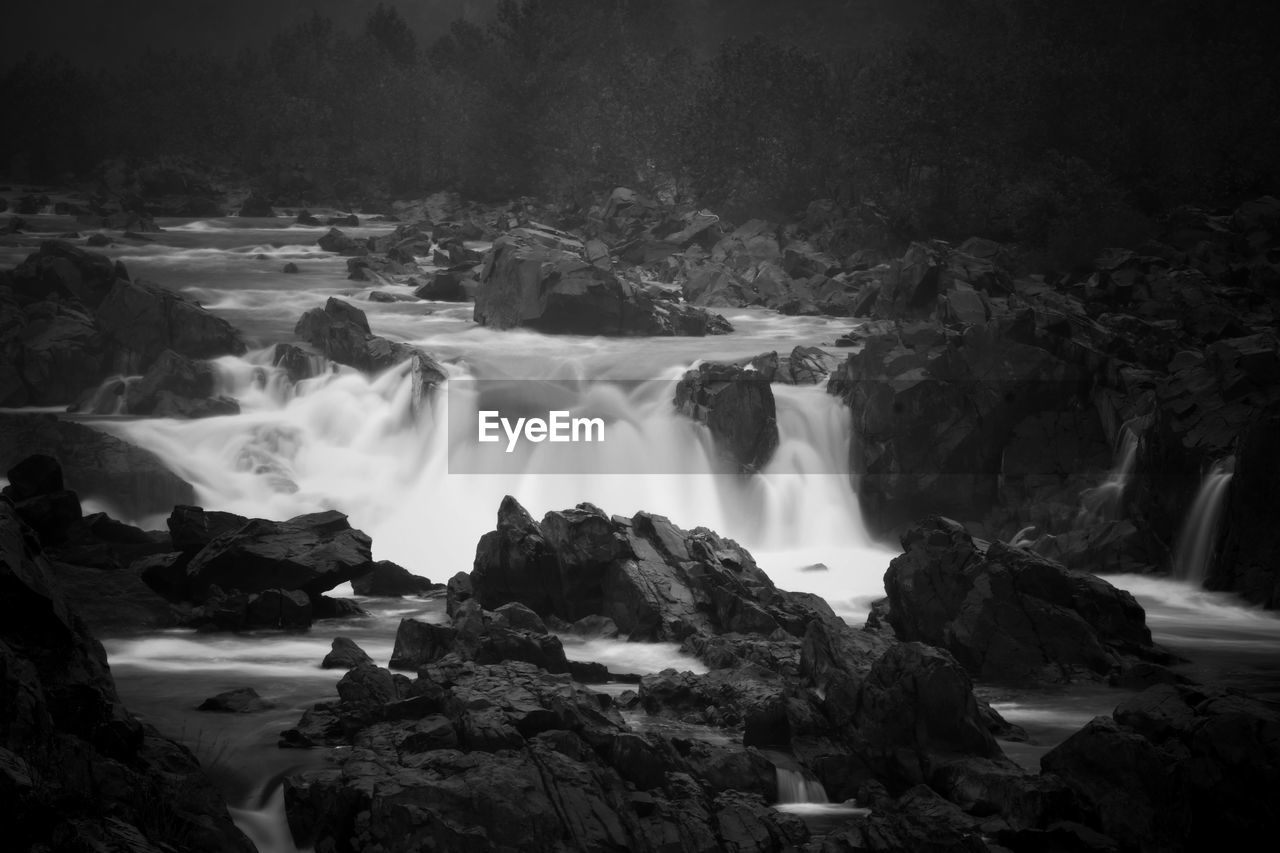 Scenic view of waterfall in forest