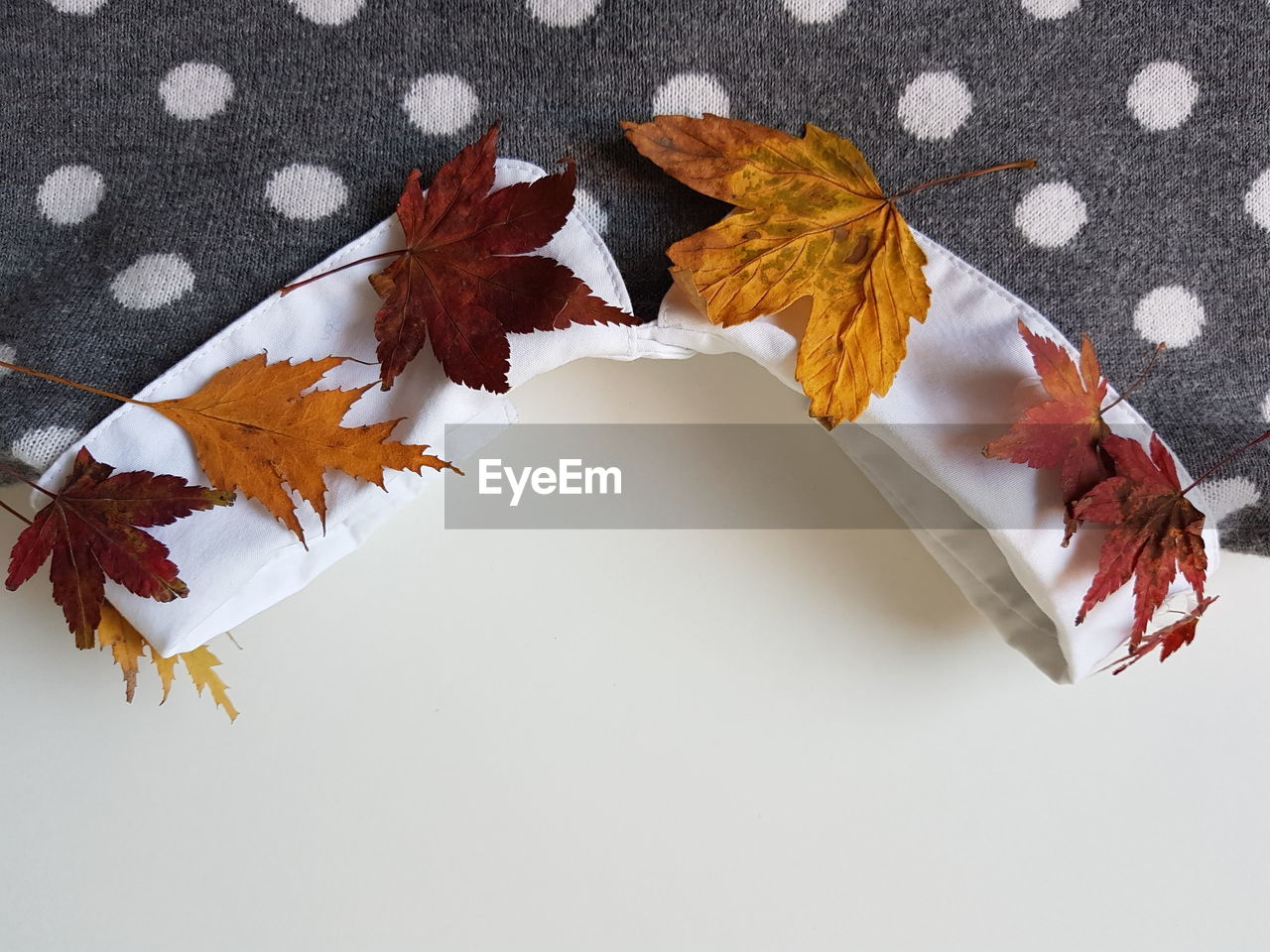 HIGH ANGLE VIEW OF MAPLE LEAF ON WHITE AUTUMN