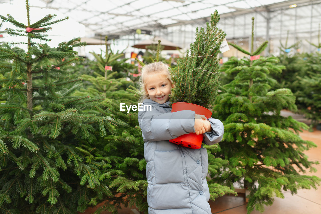 A small girl chooses a christmas tree in the market.