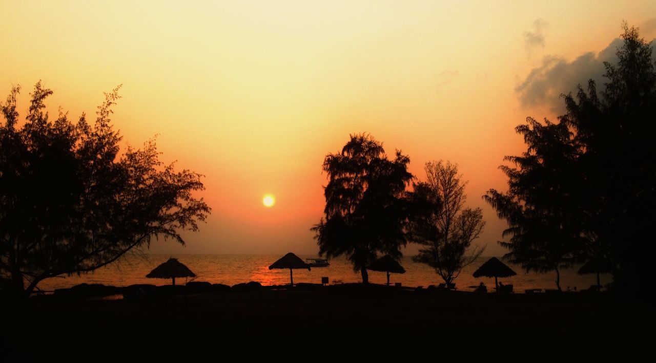 Silhouette trees on beach at sunset