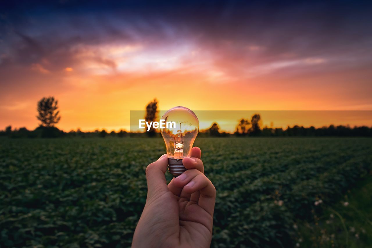 Cropped hand of woman holding illuminated light bulb against field during sunset