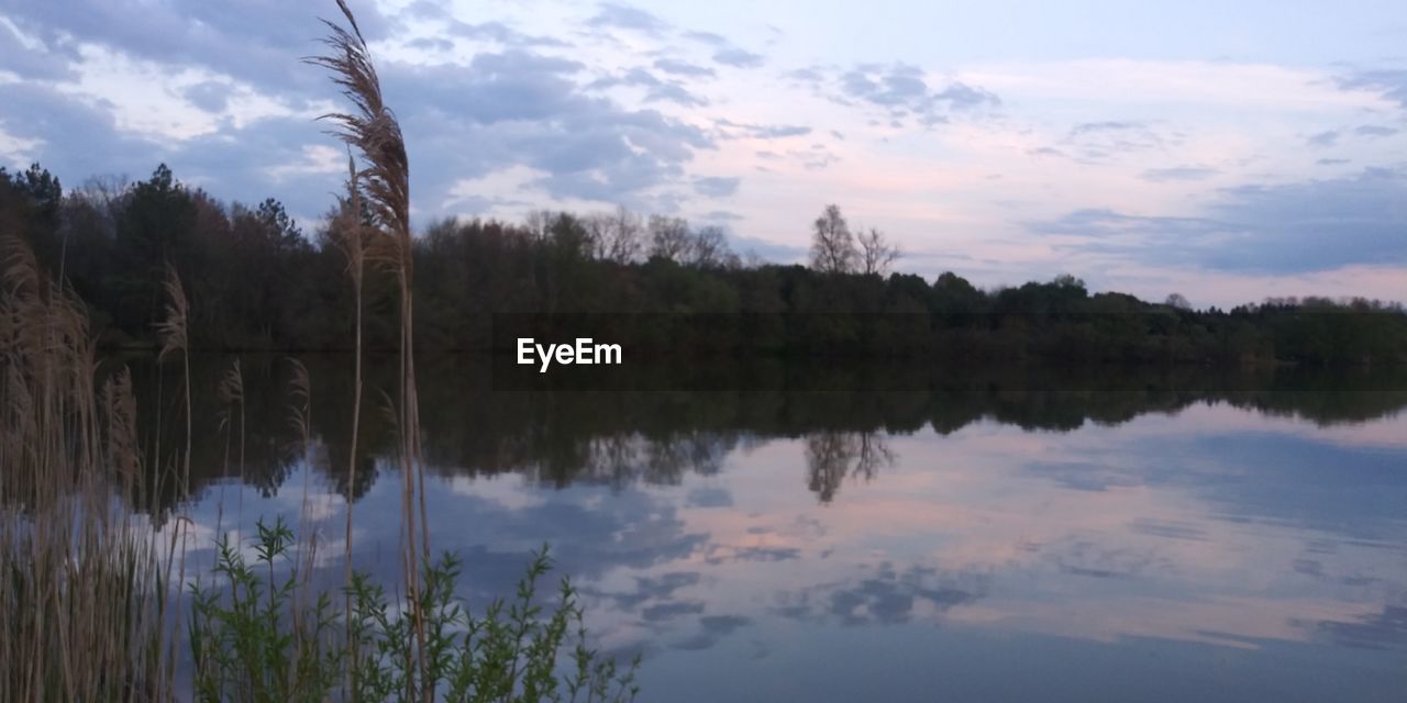 SCENIC VIEW OF LAKE BY TREES AGAINST SKY AT SUNSET