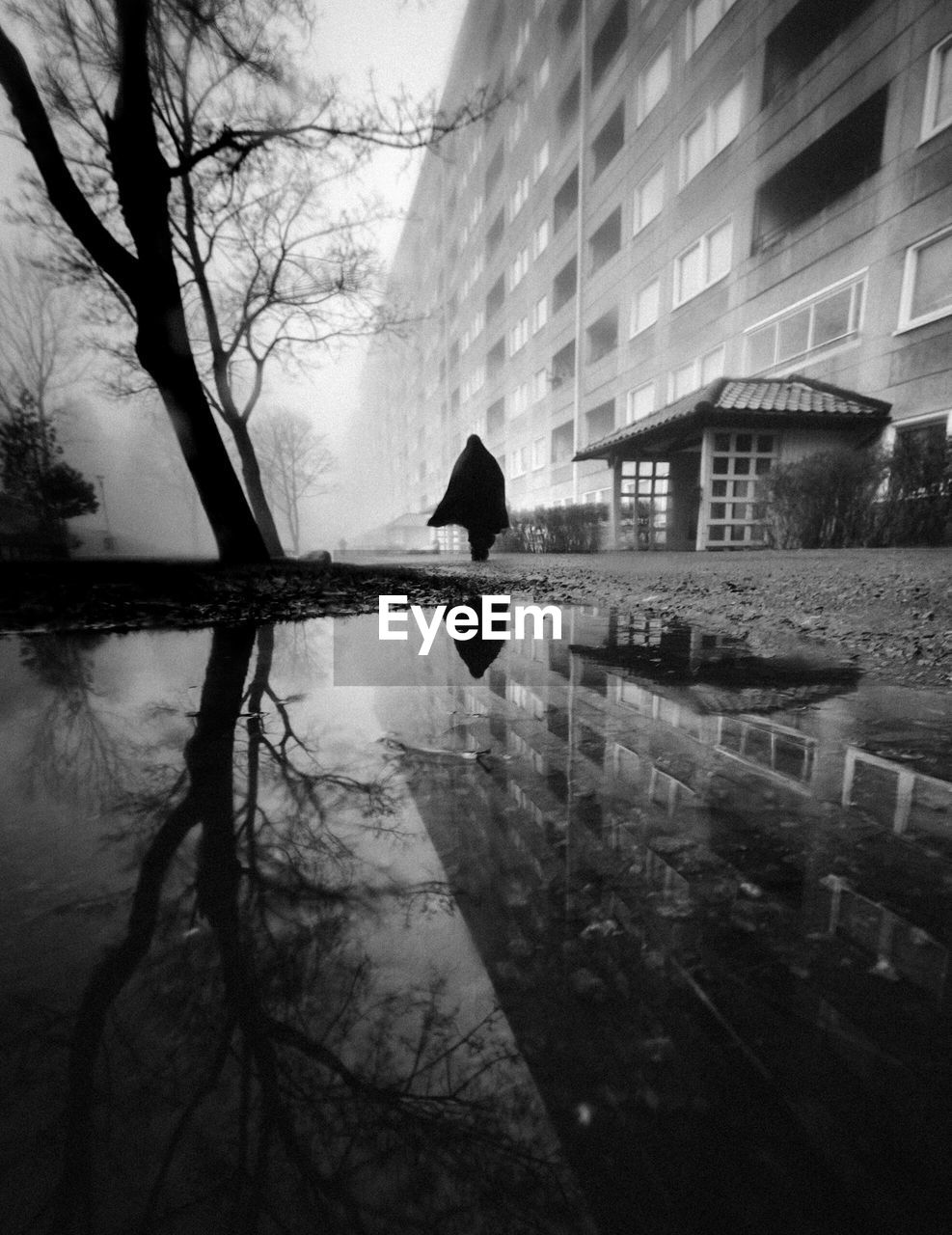 REFLECTION OF SILHOUETTE TREE IN PUDDLE