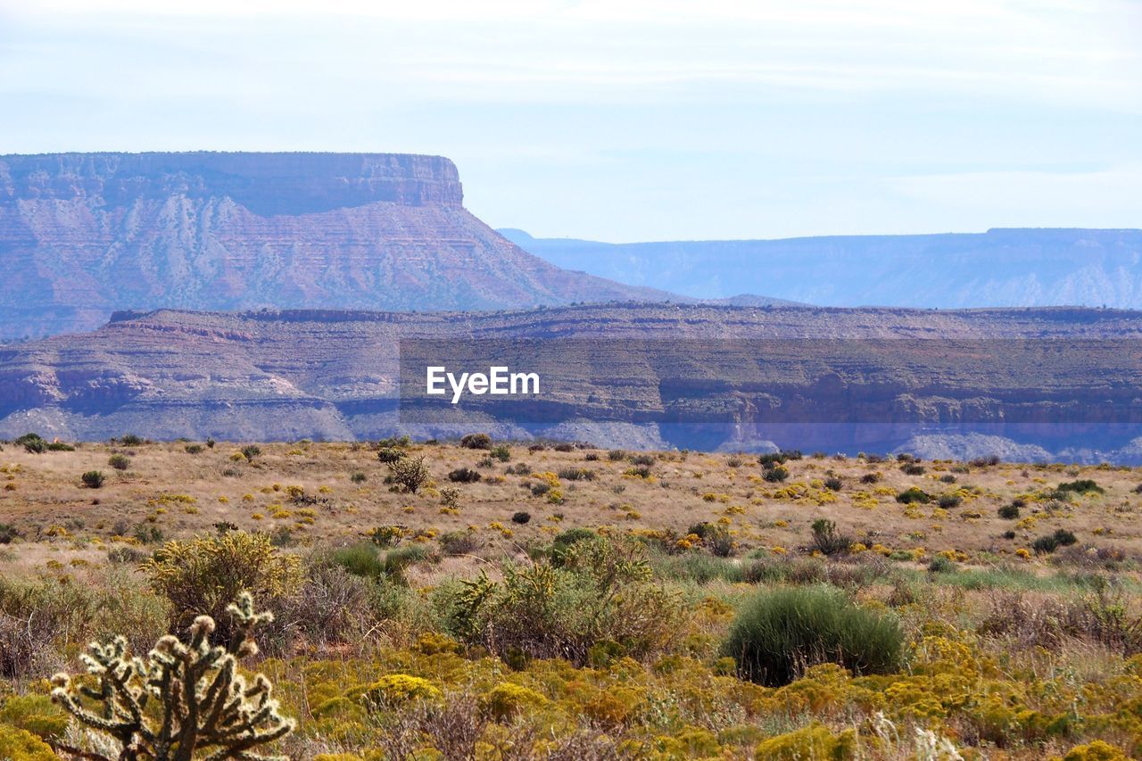 Scenic view of landscape against sky