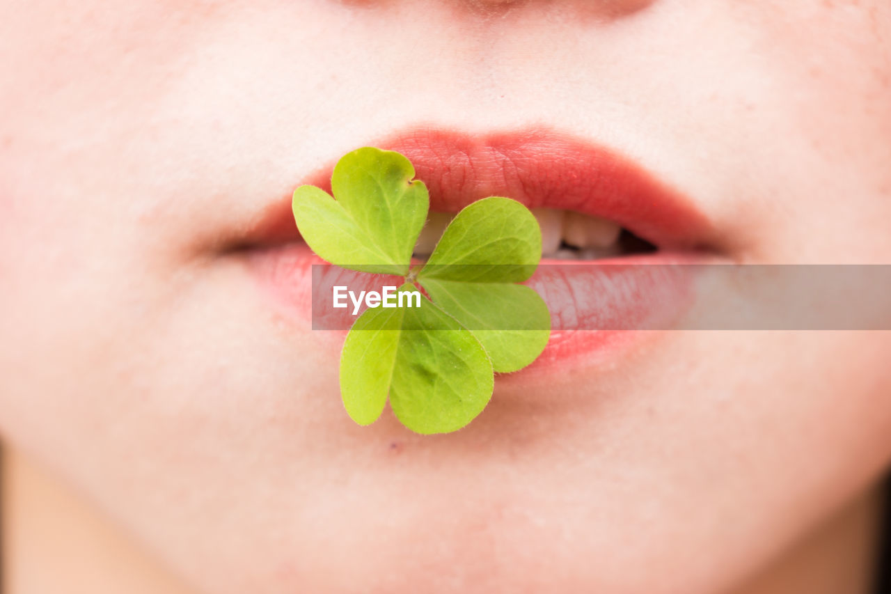 Close up of a person biting on a shamrock