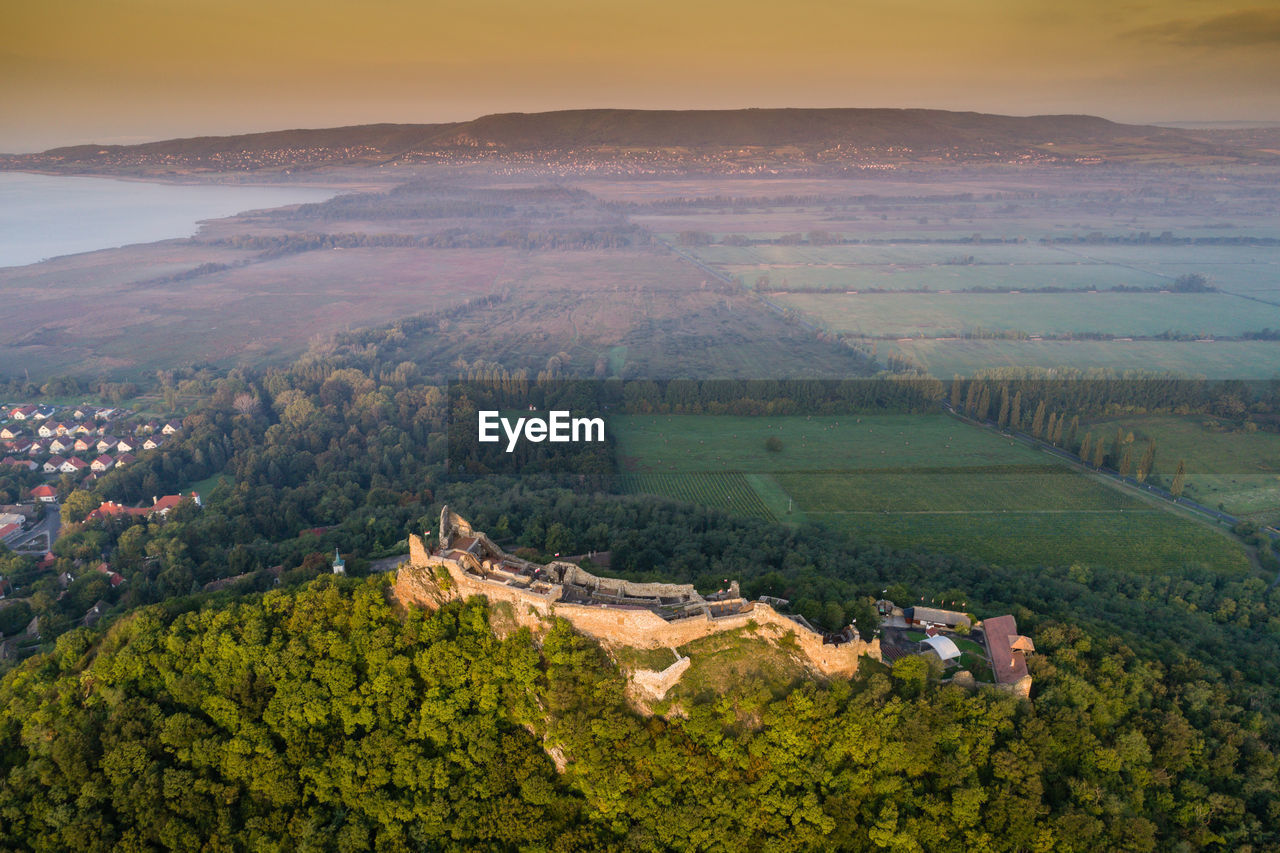 HIGH ANGLE VIEW OF AGRICULTURAL FIELD