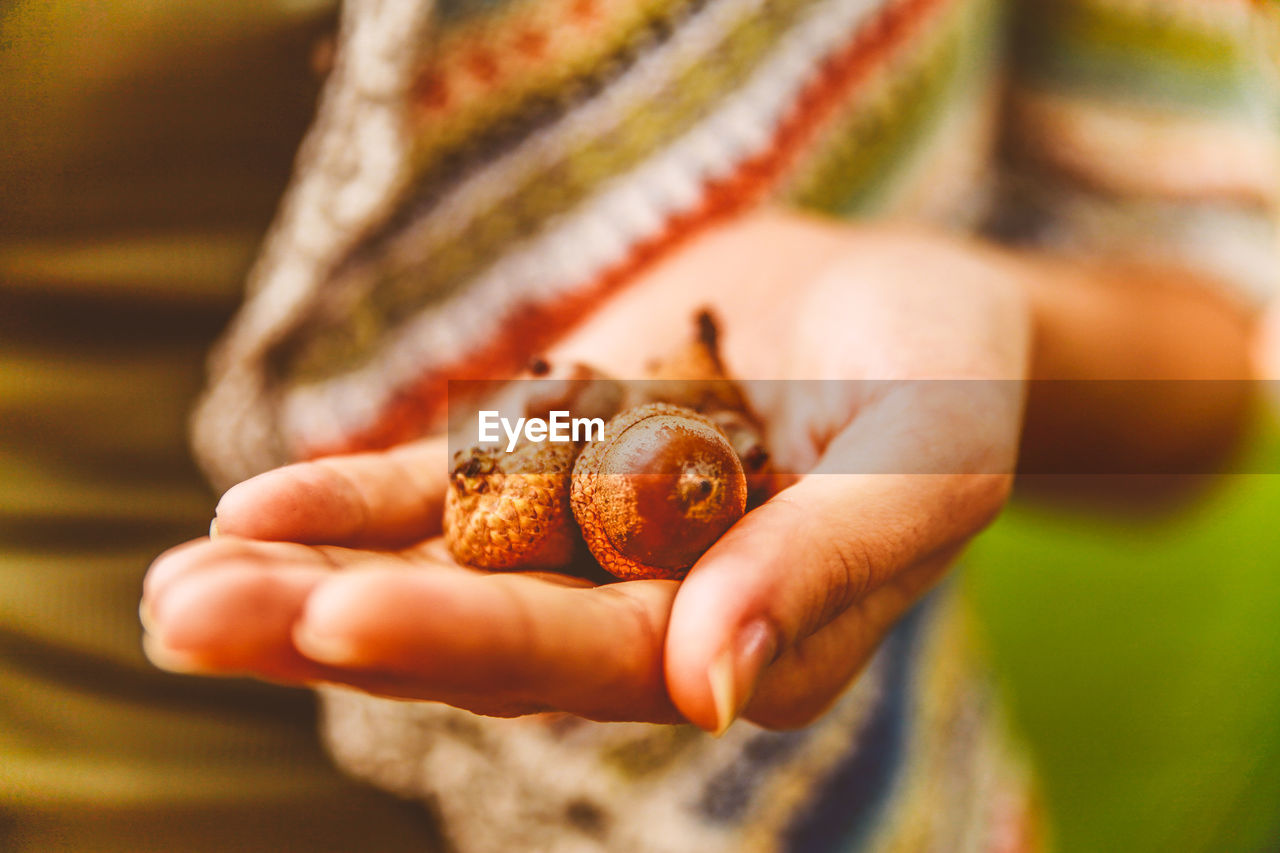 Cropped image of woman holding acorns