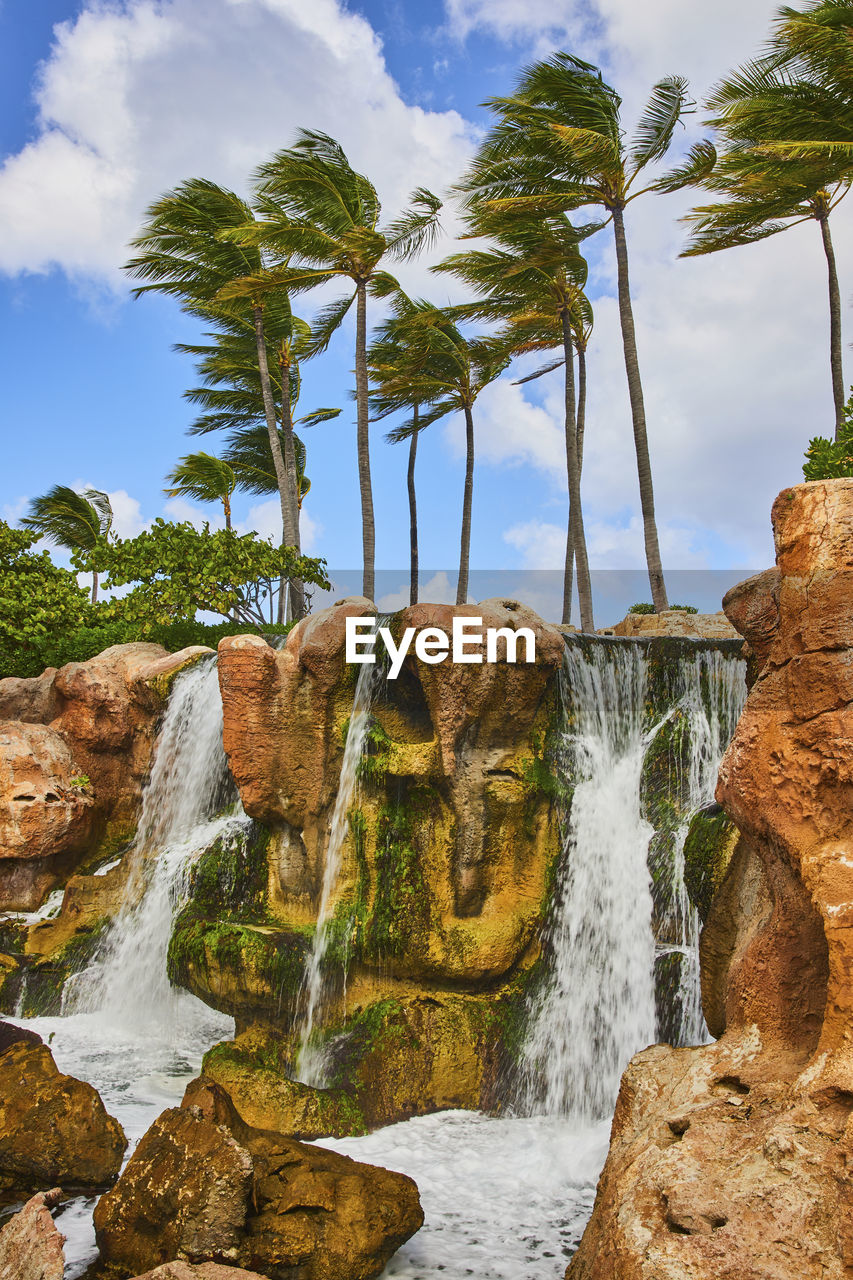 scenic view of waterfall in forest